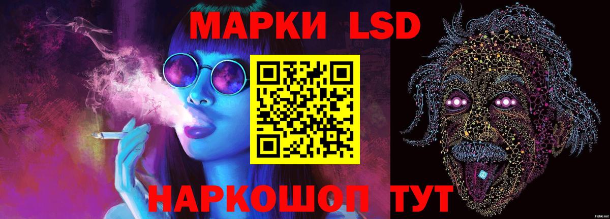 omg ссылки  ЛСД экстази ecstasy  LSD-25 экстази кислота  Вход с VPN  Новочебоксарск 