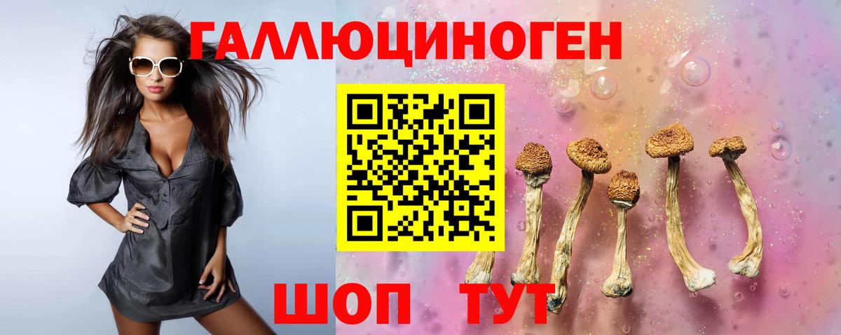 Псилоцибиновые грибы ЛСД Новочебоксарск
